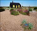 Dungeness, Kent